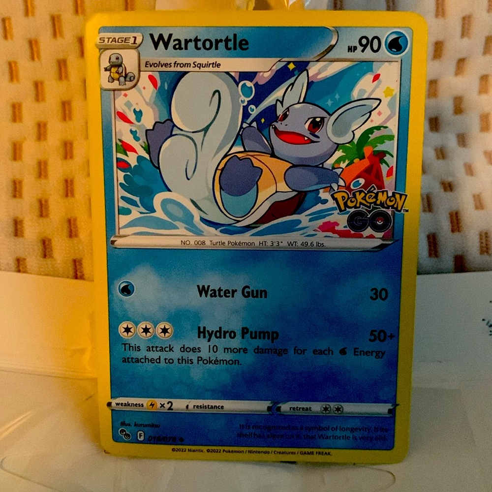 Squirtle, Wartortle - Picture 2 of 2